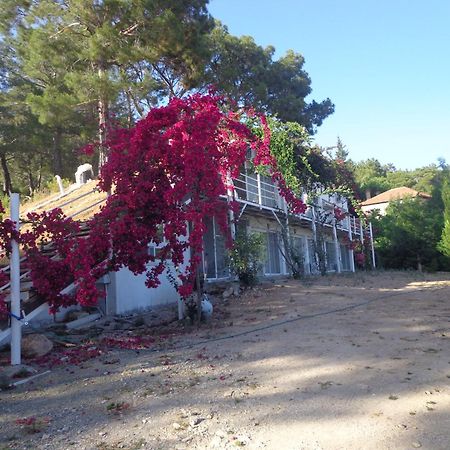 Farmhill Kumluca Exterior foto